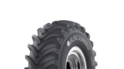 Agroindustriale ASCENSO TDB124 24.5 / R32